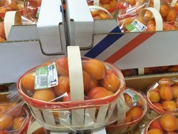 ABRICOTS pour les professionnels en gros