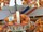 ABRICOTS pour les professionnels en gros