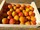 ABRICOTS (Catgorie 1 - 1ier CHOIX)