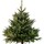 SAPIN NORDMANN autres Disponibles Sur Place