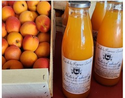 Nectar d'abricot