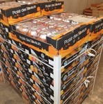ABRICOTS pour les professionnels en gros