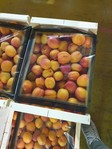 ABRICOTS (Catgorie 2 - Lger dfaut)
