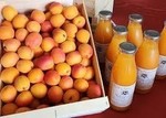 Nectar d&#039;abricot ORANEGERED varit trs douce